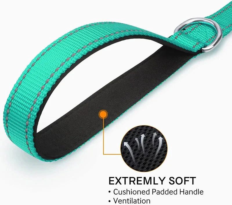 Reflective Pet Leash | Adjustable Polyester Lead Strap for Dogs and Cats