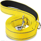 Reflective Pet Leash | Adjustable Polyester Lead Strap for Dogs and Cats