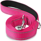 Reflective Pet Leash | Adjustable Polyester Lead Strap for Dogs and Cats
