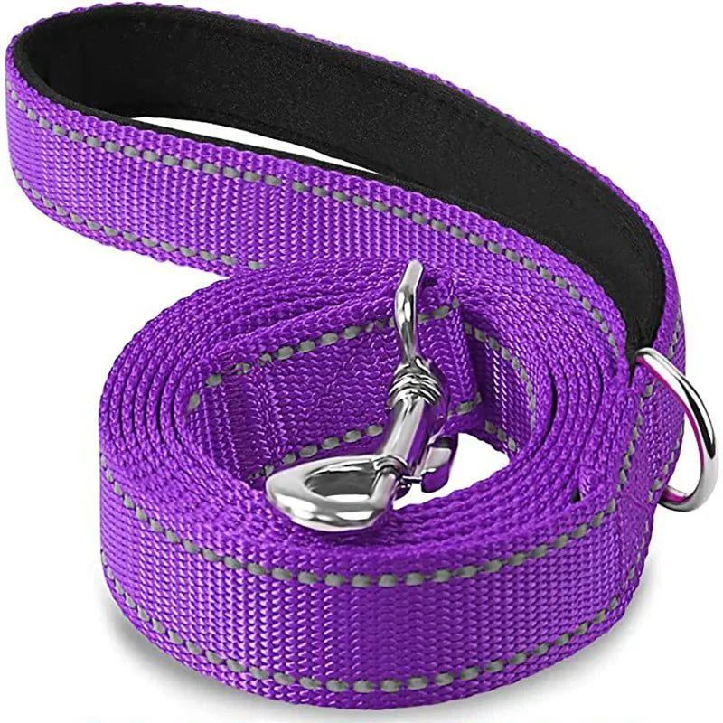 Reflective Pet Leash | Adjustable Polyester Lead Strap for Dogs and Cats