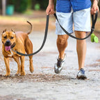 Reflective Pet Leash | Adjustable Polyester Lead Strap for Dogs and Cats