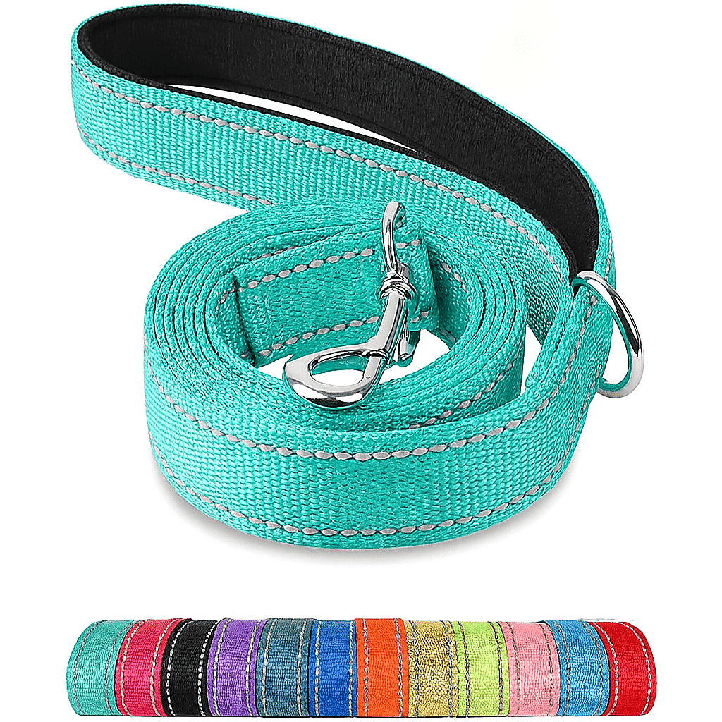 Reflective Pet Leash | Adjustable Polyester Lead Strap for Dogs and Cats