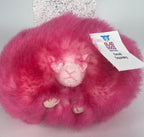 Small Squeaky & NO Squeak 'Toon Town Dog Toy from Pop Culture: 6"-7"