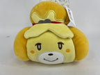 Small Squeaky & NO Squeak 'Toon Town Dog Toy from Pop Culture: 6"-7"