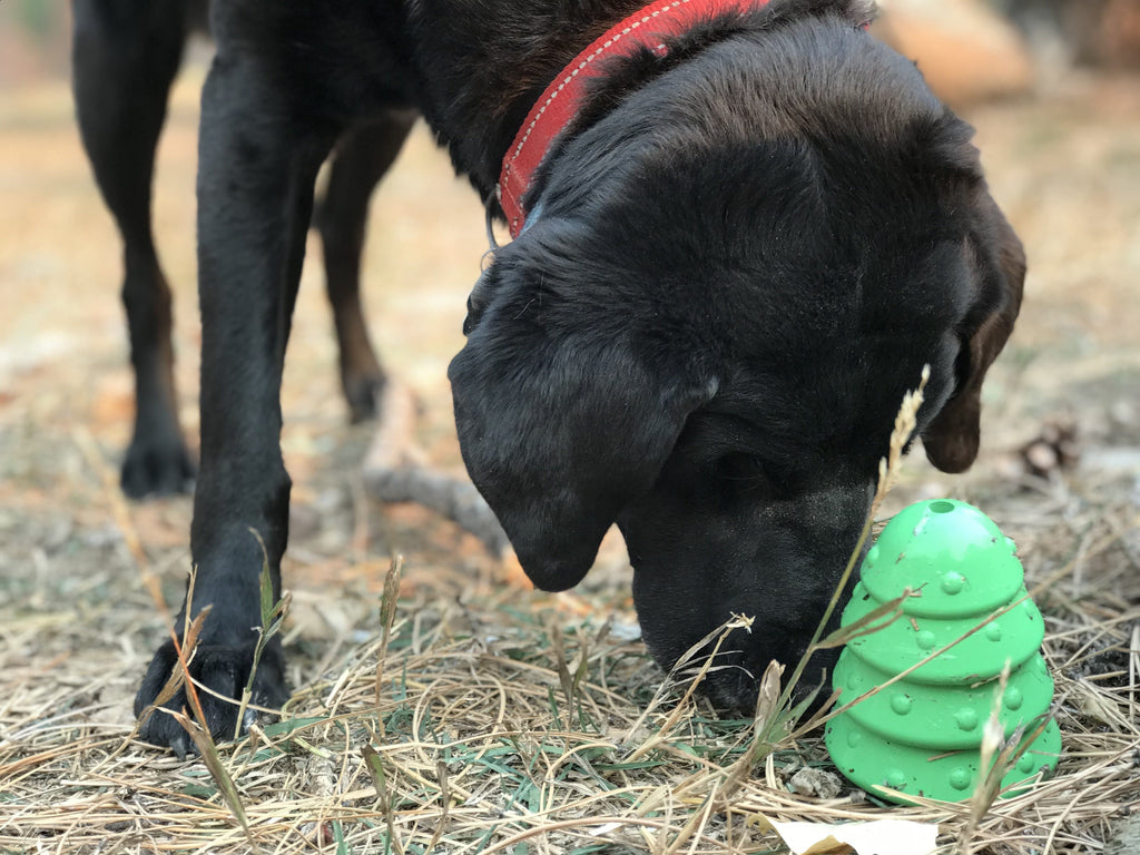 Christmas Tree Dog Toy - Durable Rubber Chew Toy for Large Dogs | USA Made
