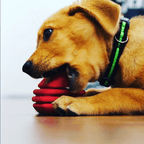 Heart on a String Dog Toy - Durable Rubber Tug Toy for Large Dogs | USA Made