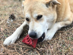 Cherry Pie Nylon Dog Chew Toy for Aggressive Chewers | USA Made | SodaPup