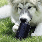 Magnum Can Toy Rubber Dog Chew Toy for Extreme  Chewers | Treat Dispenser | USA Made