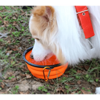 Universal Colorful Collapsible Silicone Dog Food Water Bowl Foldable Cup Dish For Pet Portable Travel Bowl For Dog