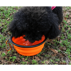 Universal Colorful Collapsible Silicone Dog Food Water Bowl Foldable Cup Dish For Pet Portable Travel Bowl For Dog
