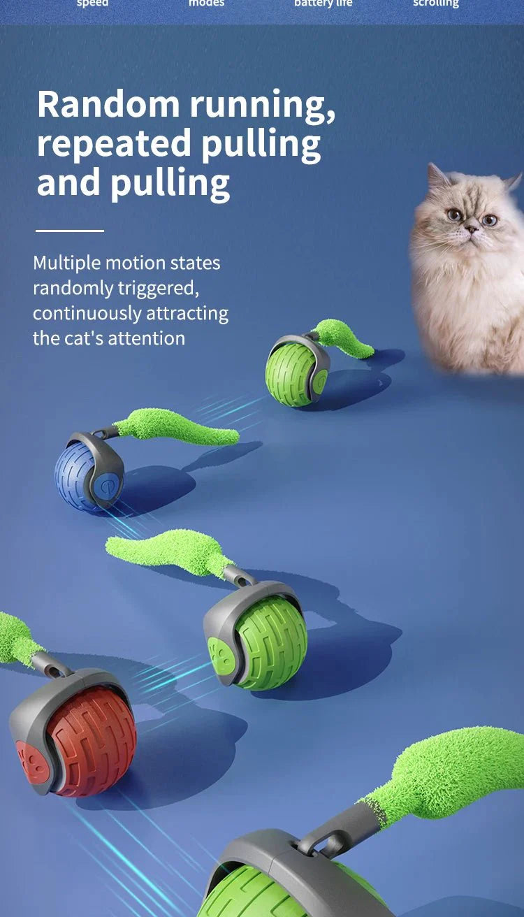 USB Rechargeable Interactive Electric Cat Toy Ball | Self-Rolling Teaser for Indoor Cats