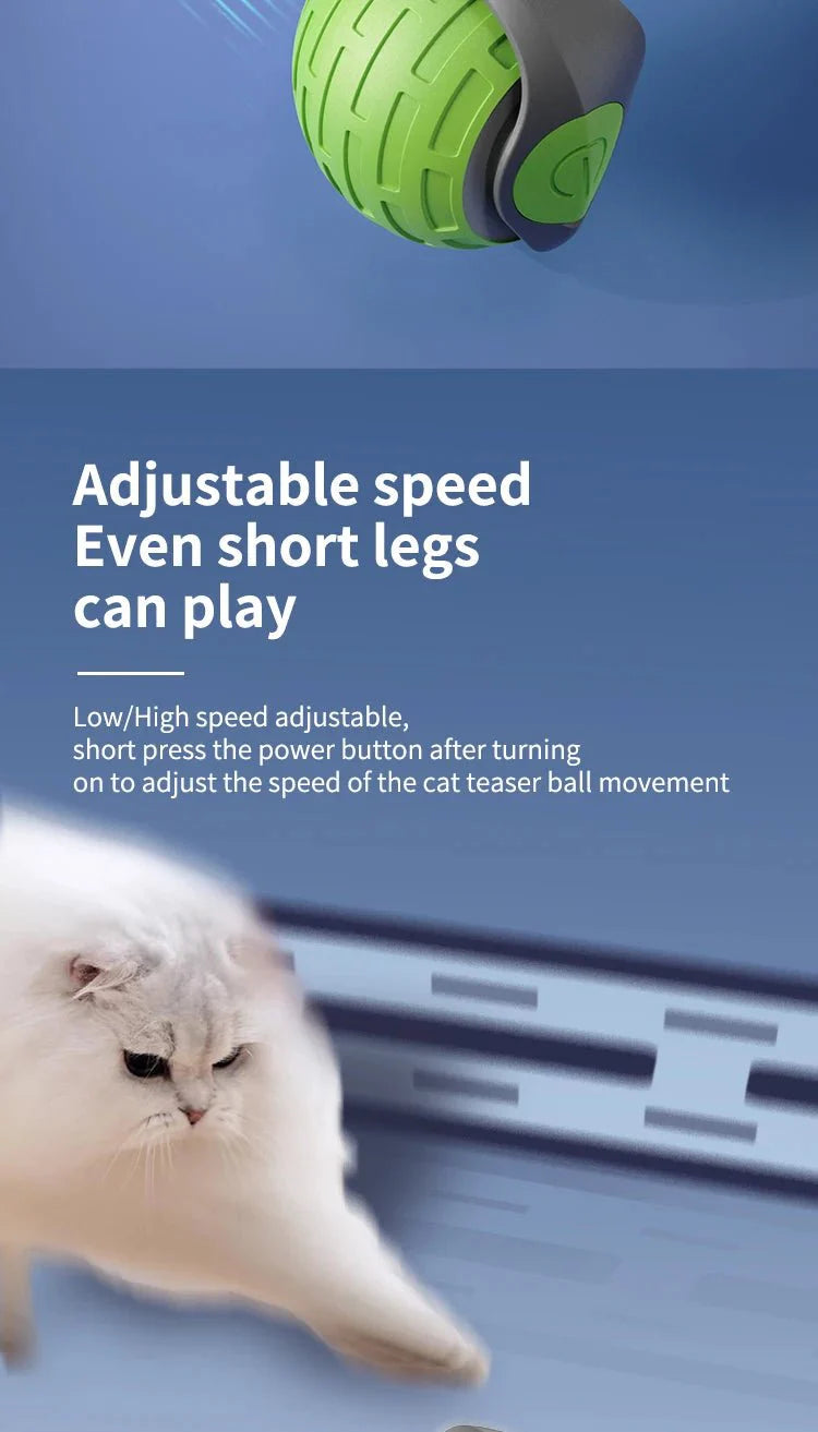 USB Rechargeable Interactive Electric Cat Toy Ball | Self-Rolling Teaser for Indoor Cats