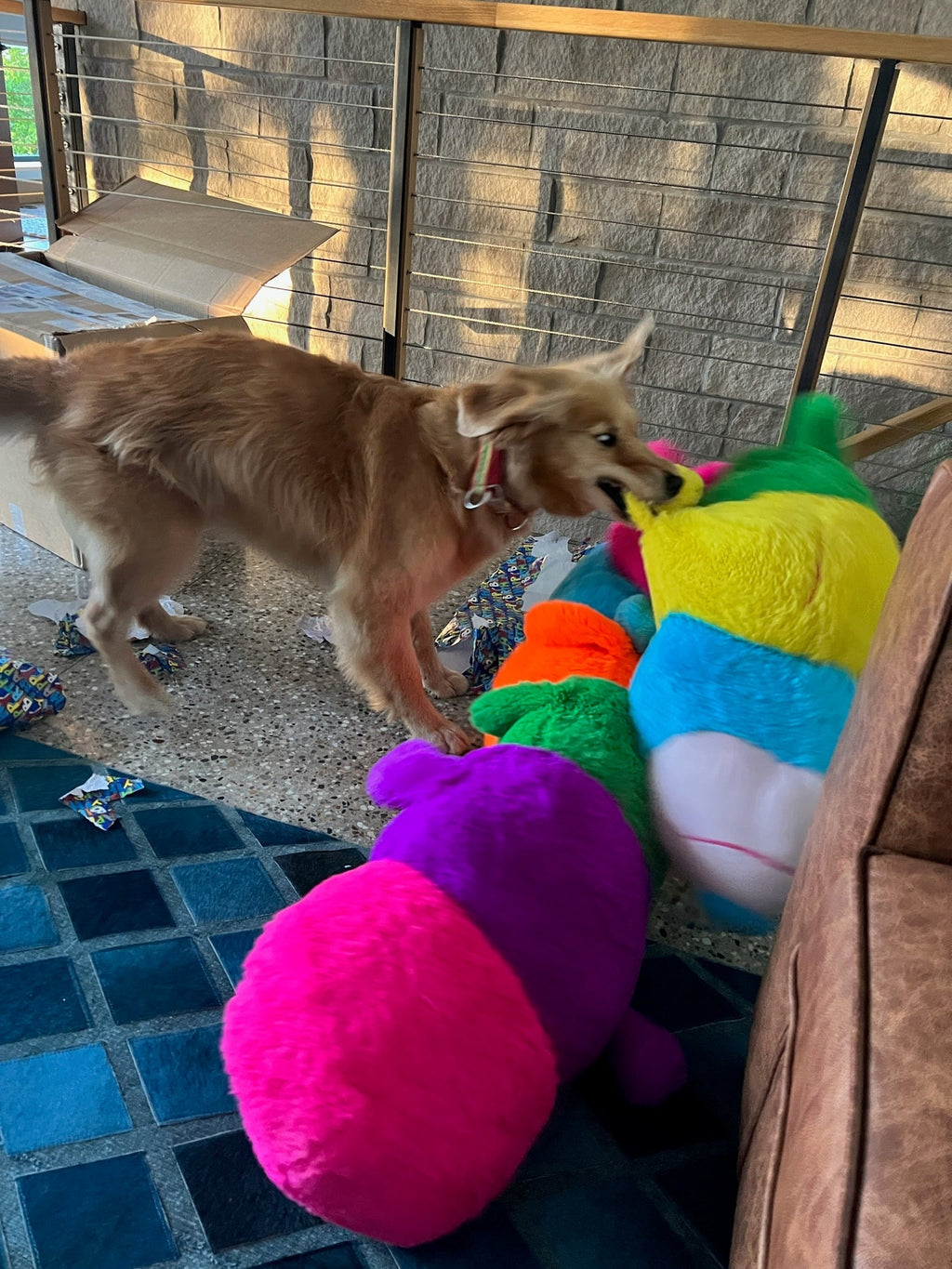 XXLarge Stuffed Dog Toys: 20"+  Squeaky and No Squeak