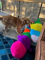 XXLarge Stuffed Dog Toys: 20"+  Squeaky and No Squeak